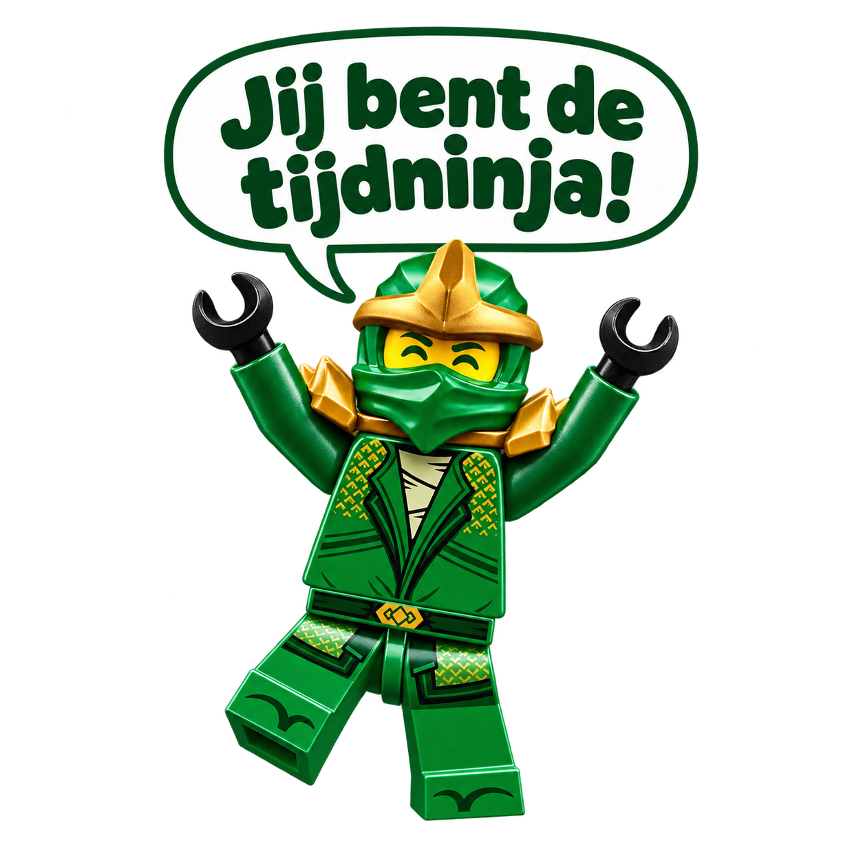 Blije groene ninja in overwinningspose: Jij bent de tijdninja!